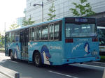 213r1.JPG