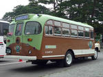 kumasan.r.JPG