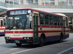 532.JPG