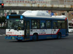 Hs041