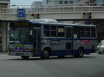 H.295