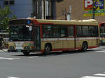 C20313