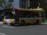 A20554