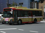A20954