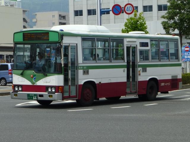66