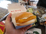 CA3C0073.gif