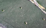 CA3C0410.JPG