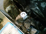 CA3C0483.JPG