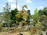 CA3C0836.JPG