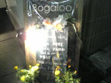 Bogaloo