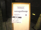 1102_seagulloop