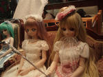 PC210002.jpg