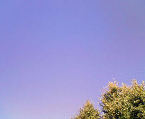 200711131119000.jpg