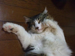 DSCF0760.jpg