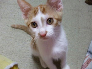 DSCF1795.jpg