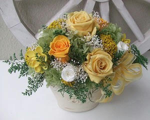 2009_03110027.jpg