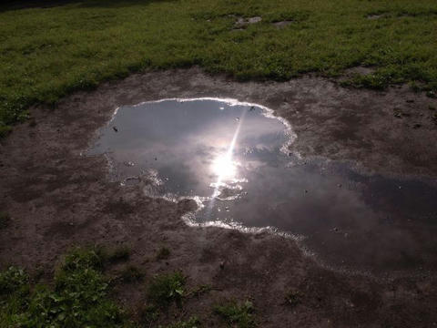 雨上がりに