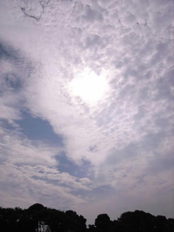 梅雨明けを待ちわびて