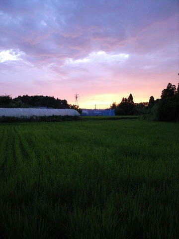 静かな夕焼け