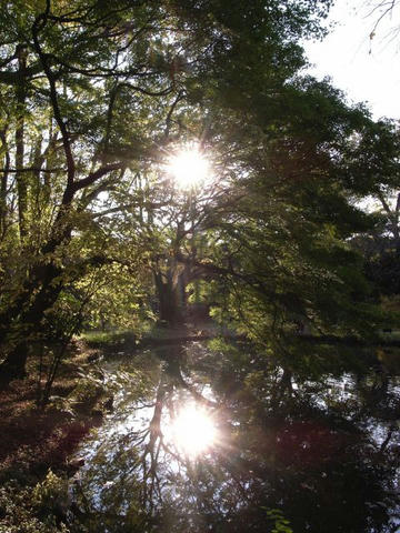 二つの太陽