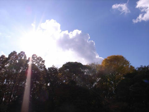照らす