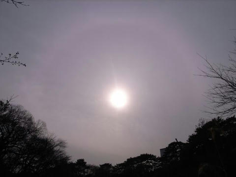 大きな暈