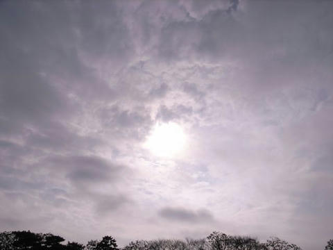 雨上がりの太陽