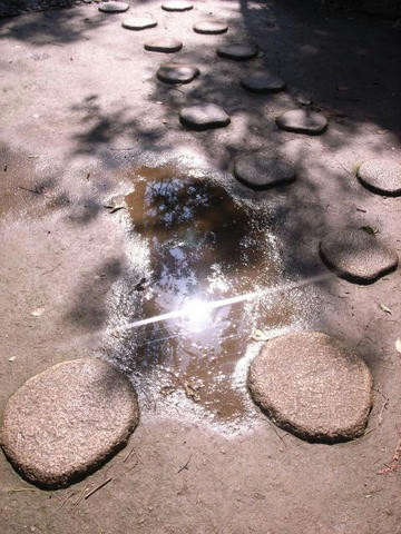 水溜まりの太陽