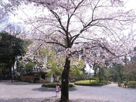 笑顔咲く