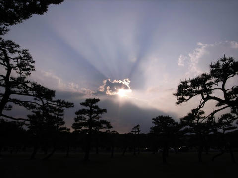 鮮やかな光芒