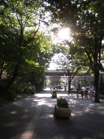 太陽に誘われて