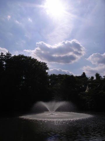 噴水から飛び出た