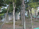 DSC00034.JPG