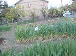 DSC00035.JPG