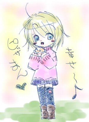 【多色［-軽-］２枚目】