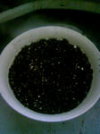 080920_173525.JPG
