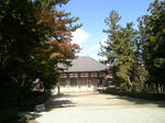 V9030005.JPG