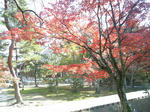 V9030007.JPG