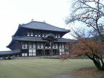 V9030020.JPG