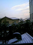 090112_075357.JPG