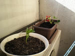 200903311550000.jpg