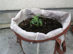 200903311550001.jpg
