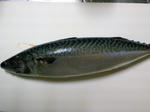 200904241734000.jpg