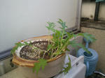 200905311732002.jpg