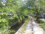 20100503-3.jpg