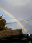 rainbow-1.jpg