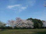 20120402_152625-1.jpg