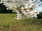 20120402_152433-1-1.jpg