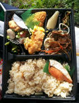 20120402_144116-1.jpg