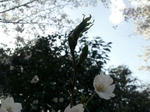 20120402_152606-1.jpg